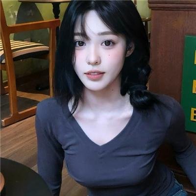 没人瞭波斯猫